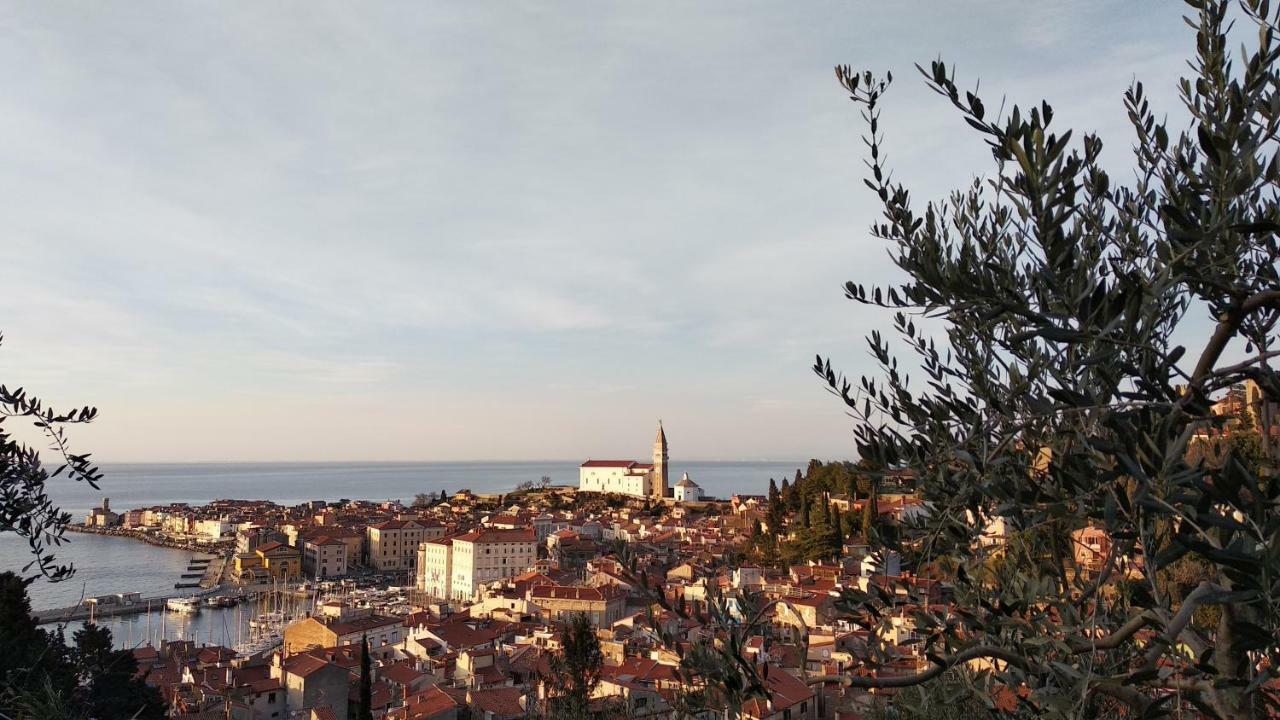 Appartement Apartma Marinka à Piran Extérieur photo